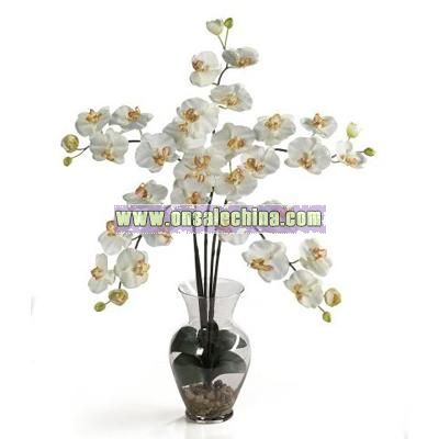 Silk Orchid Artificial Flower Arrangement - Phalaenopsis Liquid Illusion-Cream