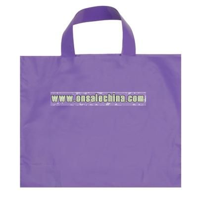 12x10-inch Frosted Plastic Bag