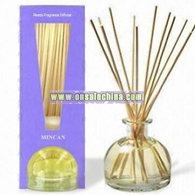 Mini Reeds Fragrance Diffuser Set