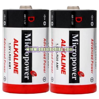 Alkaline Battery D/LR20