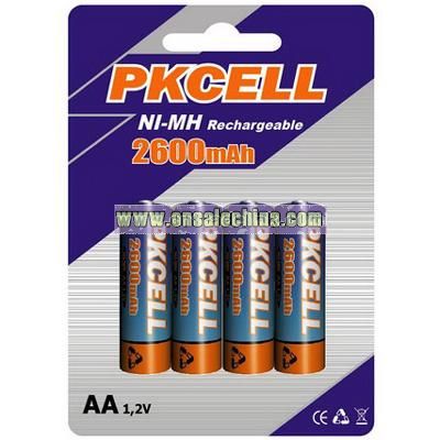Rechargeable Battery (CE/ROHS Approved)