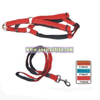 Pet Leash and hardness