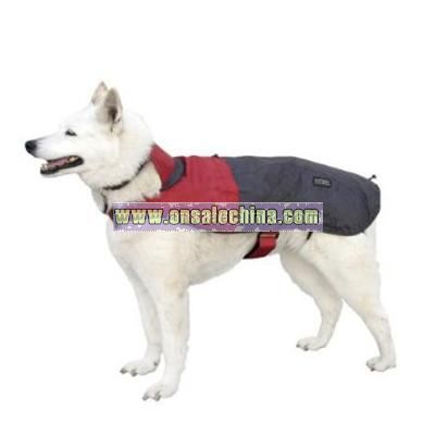 Dog Rain Jacket, Large Assorted Color