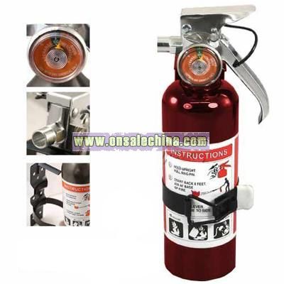 Stainless Fire Extinguisher