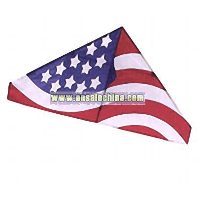USA Graphic 4.5' Delta Kite by Go Fly A Kite