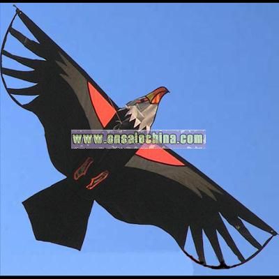 Black Eagle Kite