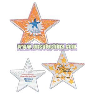 crystal star paperweight