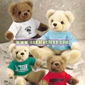 Teddy Bear with Important Tee Shirts