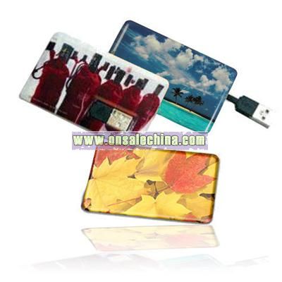 Card Usb Flash Disk