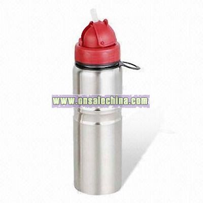 Stainless Steel Sports Bottle with Straw Lid and 700ml Capacity