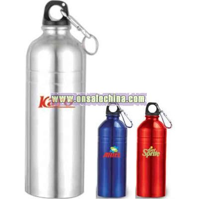 Stainless sports water bottle with carabineer 20 oz