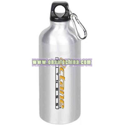 22 oz. single wall stainless steel water bottle with leak proof lid and carabiner clip