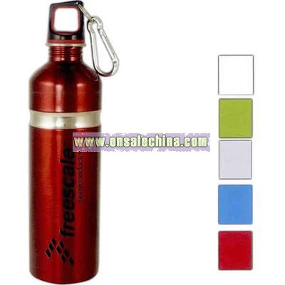 25 oz. stainless water bottle