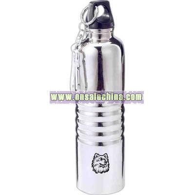 Stainless steel water bottle with carabiner