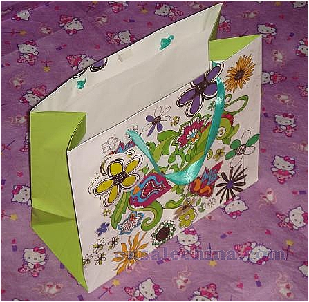 Gloss/Laminate Paper Bags