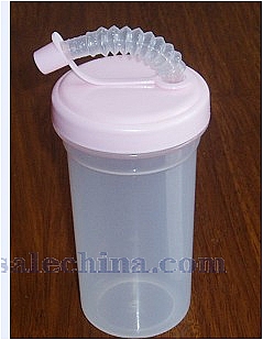 Straw Water Bottle
